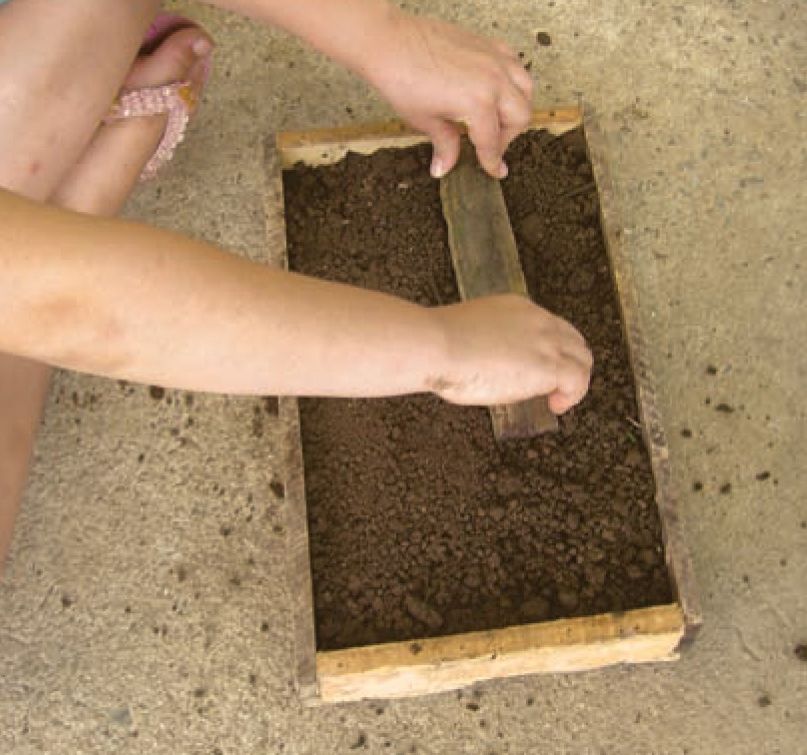 como fazer uma horta, plantando em casa