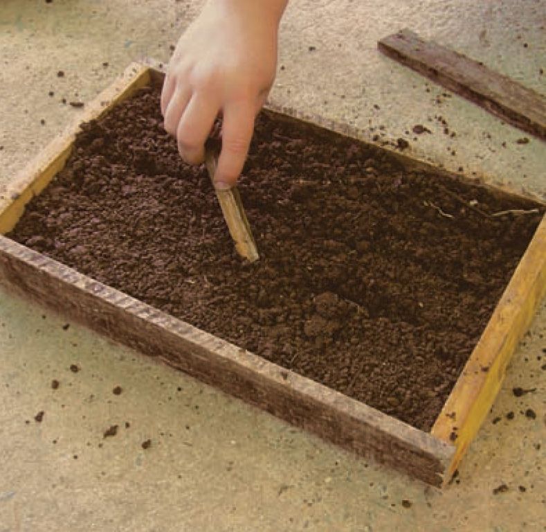 plantando em uma caixa de madeira