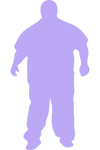 obesidade