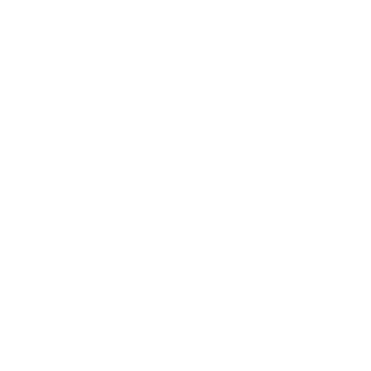 Ícone Relatório Anual