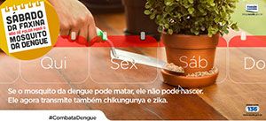dengue zika