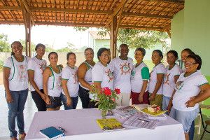 1314 voluntariado outros assuntos