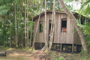 1326 outros assuntos amazonia mapa