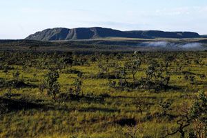 1326 outros assuntos amazonia mapa