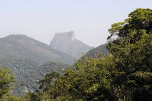 1326 outros assuntos amazonia mapa