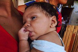 1354 comunicacao do bebe url