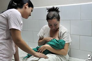 1451 caridade solidariedade url