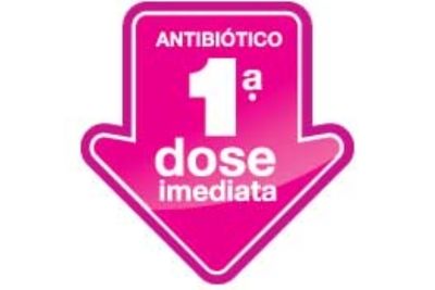 jornada mundial dos pobres lideres visitando comunidade