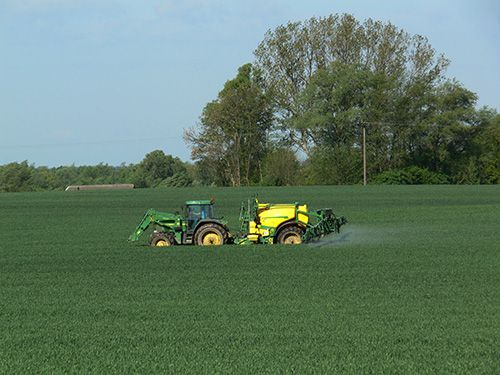 agrotoxicos-e-os-alimento
