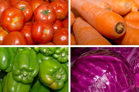 montagem-alimentos 2