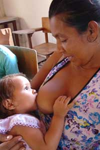 aleitamento materno apos um ano