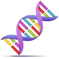 2-obesidade-infantil-Culpar-a-genetica