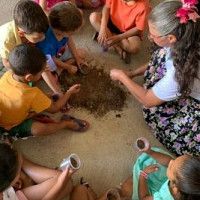 Dia Mundial da Terra 2025