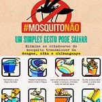Podemos prevenir Dengue, Zika e Chikungunya?