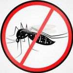 Alguns Mitos e Verdades sobre - Aedes Aegypti