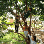 Cuidados com as crianças nas férias