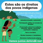 Direitos dos povos indígenas