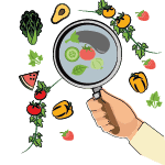 Alimentos saudáveis