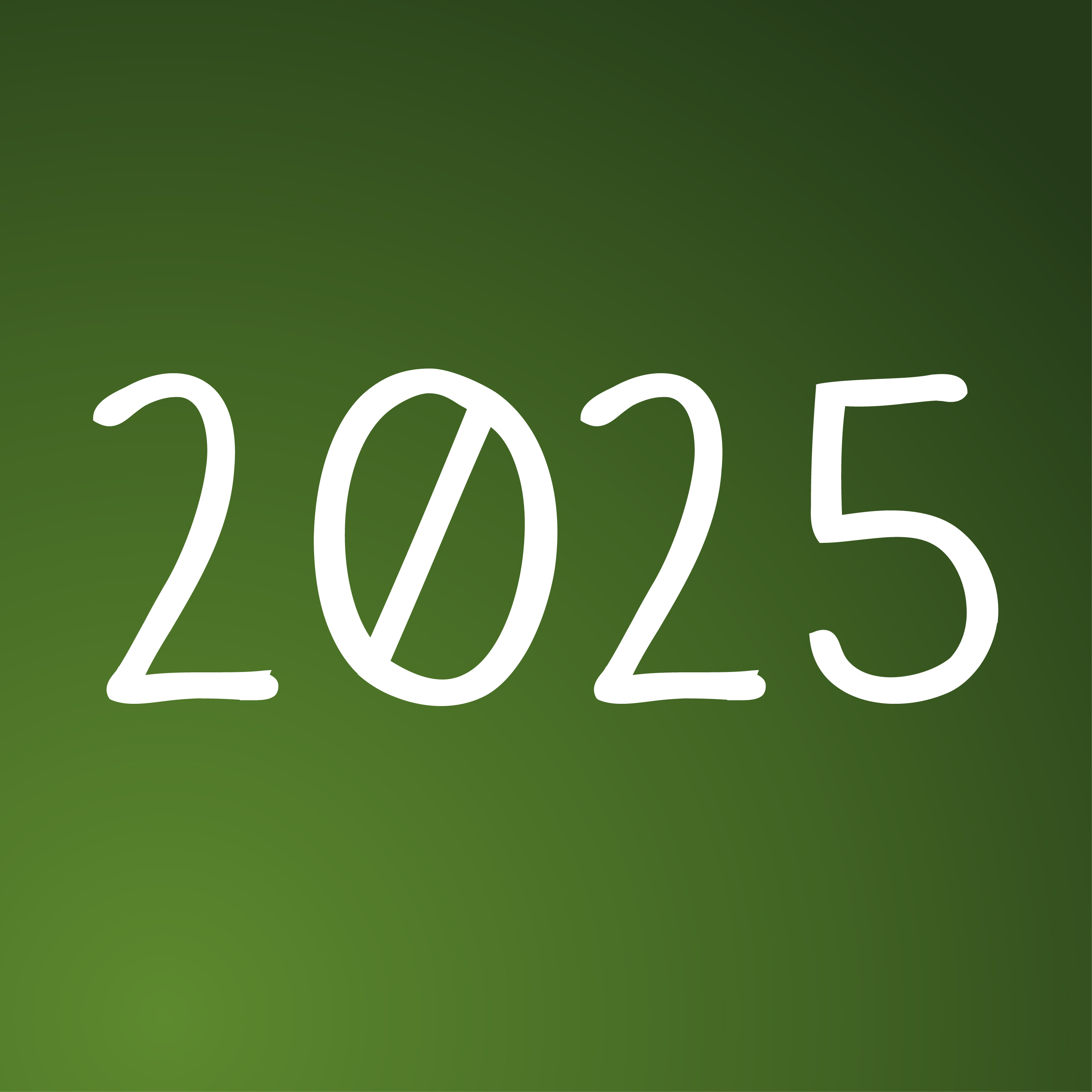 Programa de Rádio 2025