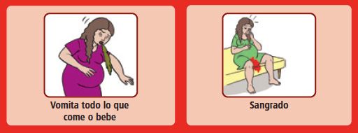 02 primeirostresmeses m