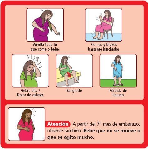 03 gestante h