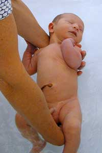 bebe ate um mes higiene