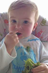 crianca 1 ano comendo brocolis