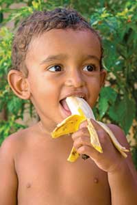 crianca 2 anos comendo banana