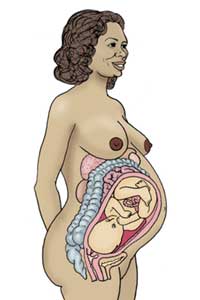 Gravidez da barriga final dura