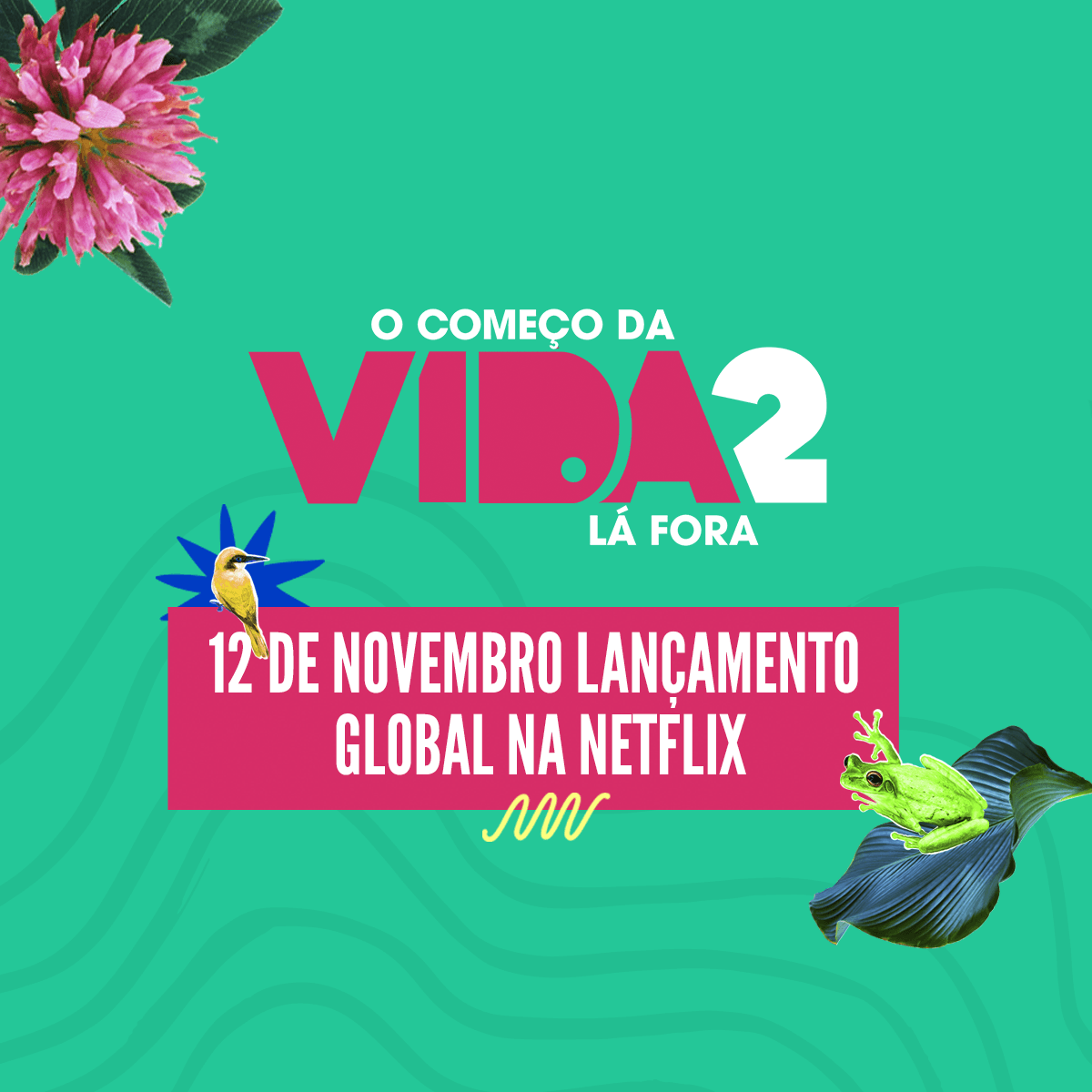 comeco vida