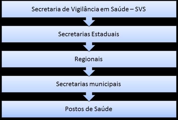fluxo 1 vacinas