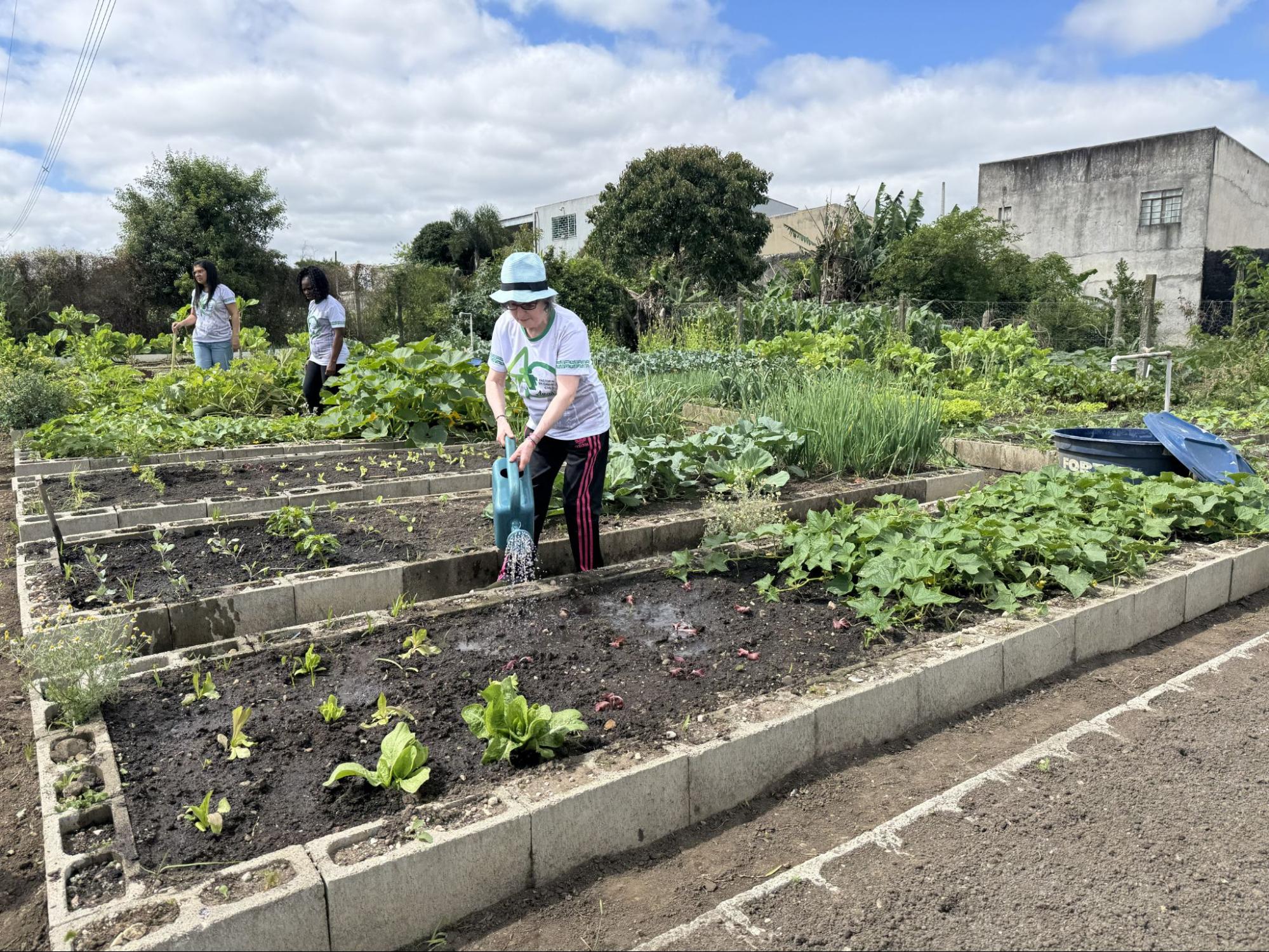 Voluntárias da Pastoral da Criança cuidam de horta comunitária voltada à alimentação saudável das famílias