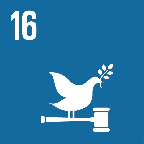 E SDG Icons NoText 16