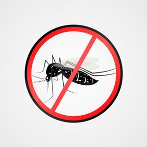 1321 dengue zika chicungunya cpf